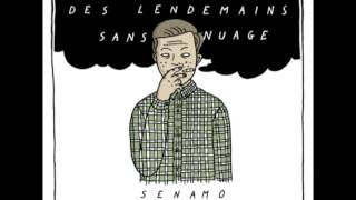 Senamo  3Lexutoire Feat FLO amp Seyté [upl. by Letnahs]