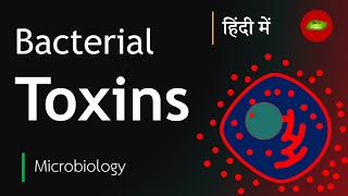 Bacterial Toxin in Hindi  Exotoxin  Endotoxin  Microbiology in Hindi  Basic Science Series [upl. by Langston]