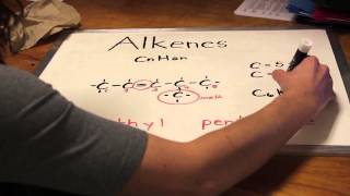 Alkanes Alkenes Alkynes of Fun [upl. by Anaer]