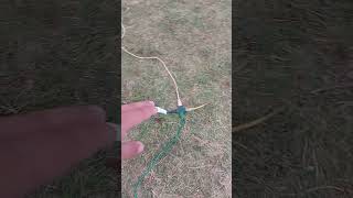 Putting up the Christmas lights 2022 shorts Vlog 2  Setting up Extension Cord lines [upl. by Retnyw]