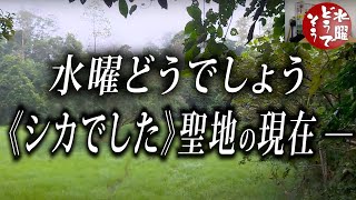 水曜どうでしょう地獄のジャングルの現在の姿…《ブンブン聖地巡礼》 [upl. by Fernando]