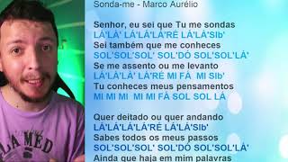 SONDAME  MARCO AURÉLIO  Tutorial flauta doce contralto com notas melódicas na tela [upl. by Smaoht]