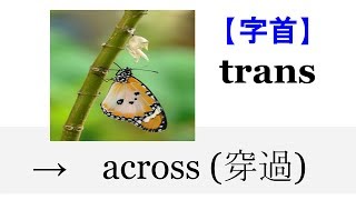 【字首 trans】English4Formosa 字首字根推廣教材 [upl. by Aniroz]