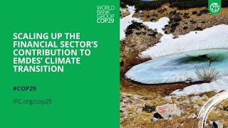 Scaling up the Financial Sectors Contribution to EMDEs Climate Transition l IFC at COP29 [upl. by Aimar266]