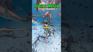 Social Media vs Rzeczywistość✈️🦈 [upl. by Ecinad4]