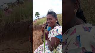 100 nal velai funny videovadivel comedy [upl. by Dione]