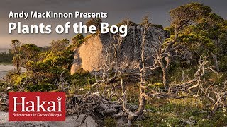 Andy MacKinnon Presents Plants of the Bog [upl. by Handal803]