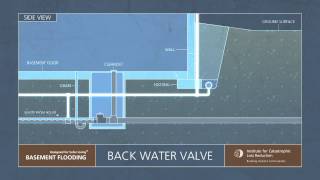 5 ICLR narrated animation Backwater valves and disconnecting foundation drains [upl. by Pandolfi]