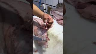 Barramundi Australia fish cutting and fillet فیله کردن ماهی باراماندی یاهمان سیباس استرالیا viral [upl. by Christye]