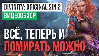 Обзор игры Divinity Original Sin 2 [upl. by Wileen]