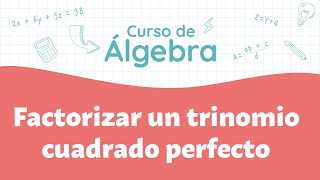 Factorizar un trinomio cuadrado perfecto  Curso de Álgebra [upl. by Leuqcar]