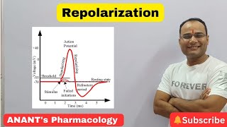 Repolarization [upl. by Gaelan]