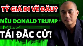 TỶ GIÁ biến động ra sao nếu DONALD TRUMP tái đắc cử [upl. by Julius]