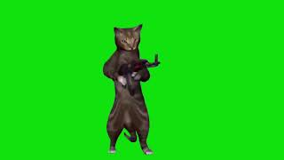 Cat Shooting Machine Gun Meme Green Screen Template [upl. by Nugent]