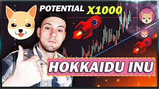 ✅НОВЫЙ ПРОЕКТ  Hokkaidu Inu  ПОТЕНЦИАЛ X 1000 🔥 [upl. by Solis]