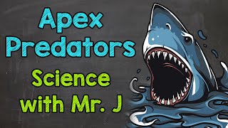 Apex Predators  Ecosystems [upl. by Encratis]