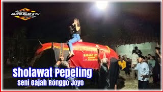 SHOLAWAT PEPELING BT SENI GAJAH RONGGO JOYO WRINGINANOM SAMBIT PONOROGO 2024 [upl. by Atileda]