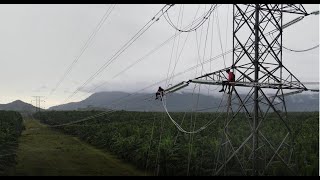 ACFR 275 kV BNGFRNE Reconductoring Project  Ampacity Upgrade [upl. by Euqinahc]