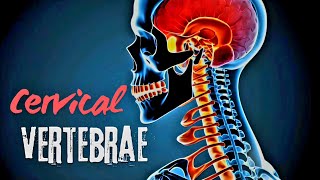 Cervical Vertebrae Explained Structure and Adaptations I Atlas amp Axis [upl. by Acinehs]