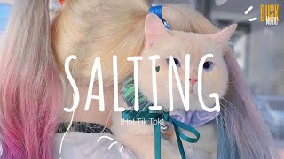 Salting remix cute  DJ Topeng  Dusk Music x Dangling Video Lyrics Tik Tok Song [upl. by Kingdon]