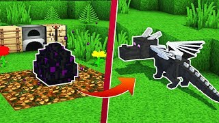 👉 DRAGON EVOLUTION MOD para MINECRAFT bedrock ► Guia COMPLETA [upl. by Nilekcaj406]