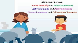 Differences between types of Immunity [upl. by Flin]