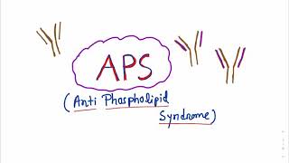 Antiphospholipid Syndrome APS antiphospholipidsyndrome immunology recurrentthrombosis CAPS [upl. by Gem]