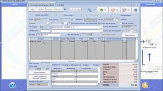 Otros datos de lotesseriespedimentos en SAI ERP® v8v9v10v11v12v14v15 [upl. by Nimajaneb]