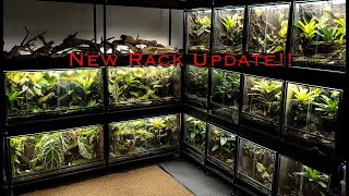 Custom Dart Frog Rack and 300 Gallon Mini Update [upl. by Issiah]