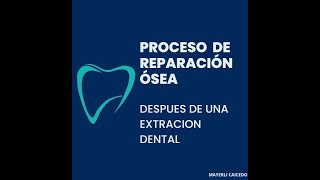 Proceso de Reparación Ósea [upl. by Urquhart]