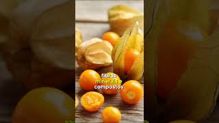 Physalis Melhorar a memória Prevenir a anemia e Evitar a diabetes ervasmedicinais medicinal [upl. by Ilac]