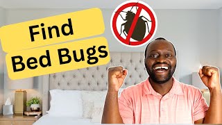 Why Light Colored Sheets Can Help Find Bed Bugs [upl. by Yolanda135]