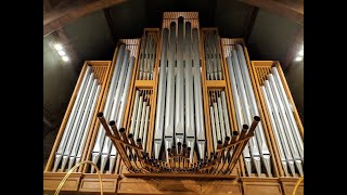 1965 Schlicker organ  Mount Olive Lutheran Church Minneapolis Minnesota [upl. by Limbert85]