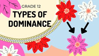 EASY TO UNDERSTAND Types of Dominance GENETICS [upl. by Florette]