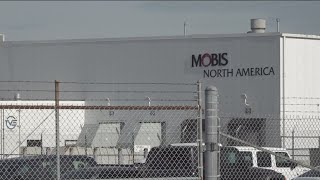 I just felt my heart drop Mobis employee reacts to layoffs [upl. by Branca492]