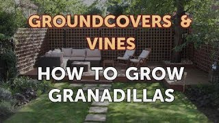 How to Grow Granadillas [upl. by Fries377]