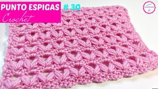 PUNTO CROCHET ESPIGAS  30 [upl. by Ellesor526]