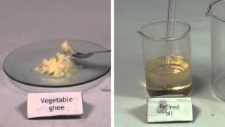 Qualitative Analysis of Oil and Fats  MeitY OLabs [upl. by Jerman]