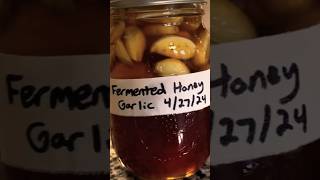 Fermented Honey Garlic recipe cooking fermented honey garlic [upl. by Ahsenroc445]