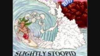 Slightly Stoopid  Mr Music [upl. by Ingaborg]