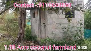 138 Acre coconut farmland for sale nearby Hullahalli [upl. by Auhsohey227]