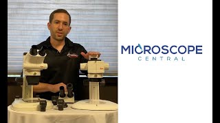 Types of Stereo Microscopes Greenough vs Common Main Objective 2020 [upl. by Pelag]