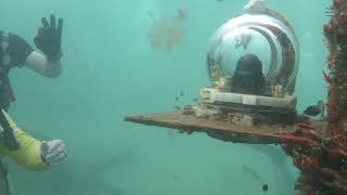 The live cam at the Deerfield Beach International Fishing Pier [upl. by Jacques]