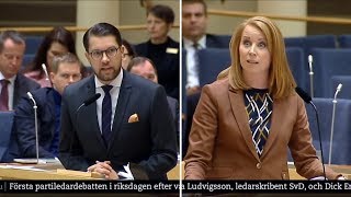 Jimmie Åkesson amp Annie Lööf i Bråk quotJag tycker du är Oförskämdquot [upl. by Yerfdog]