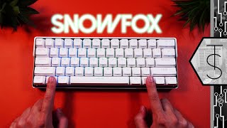 KEMOVE SnowFox Review  60 RGB Mechanical Keyboard With INFINITE Possibilities [upl. by Pul]