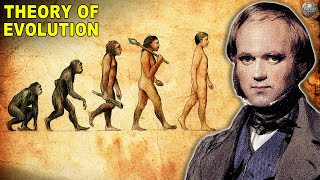 What Happened After Theory of Evolution Was Published [upl. by Ricca900]