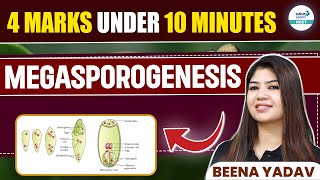 Megasporogenesis Explained in 10 Minutes  4 Marks Guaranteed  NEET 2025  Class 12 Botany [upl. by Setiram]