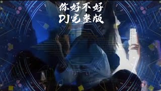 你好不好dj remix完整版 [upl. by Lleumas]