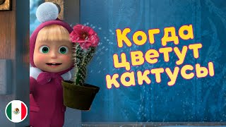 Маша и Медведь  Когда цветут кактусы🌵 Машины песенки🌵 Про Мексику 🇲🇽 Серия 8 [upl. by Fraase]