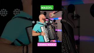 WASSYL  Ciemna Nocka Nad Doliną cover Pełna wersja na moim kanale wassylmusic [upl. by Yared204]